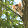 Comment apaiser son chat ?