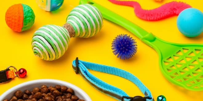 Accessoires pour chats et chiens : consommer mieux sans négliger le confort